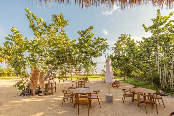 La terraza de arena de Olea bajo las uvas de playa, a última hora